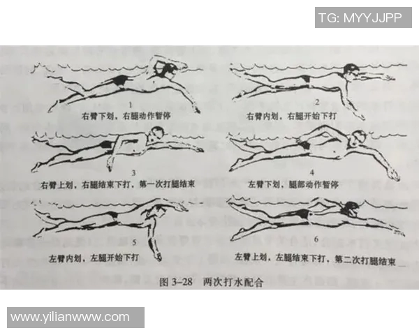 自由泳技巧提升全攻略 从入门到精通的关键要点解析 自由泳技巧提升全攻略 从入门到精通的关键要点解析