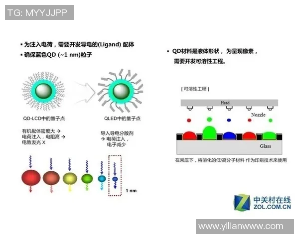 鞋业创新与可持续发展：从材料选择到生产工艺的未来趋势分析