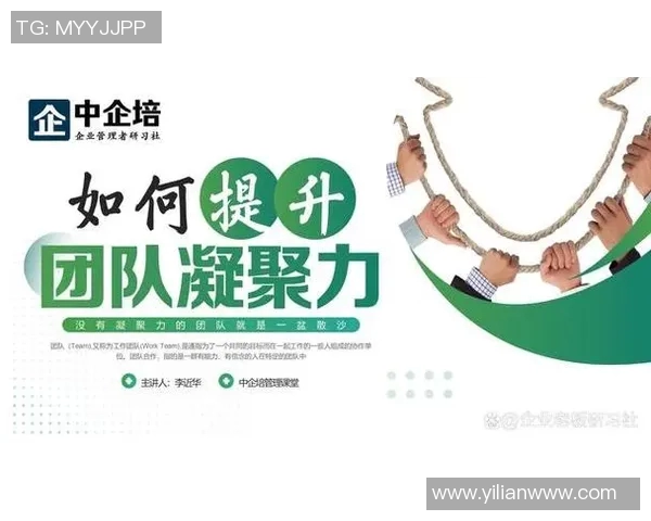 以教练为核心，打造高效团队：从管理到激励的全方位策略解析