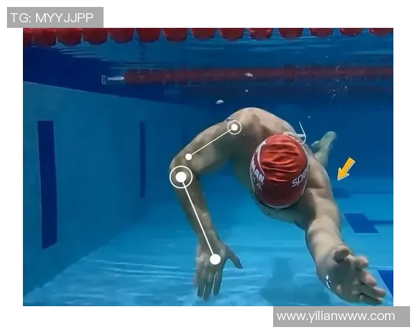 提升自由泳技巧必看：从入门到高级动作解析与训练方法全攻略